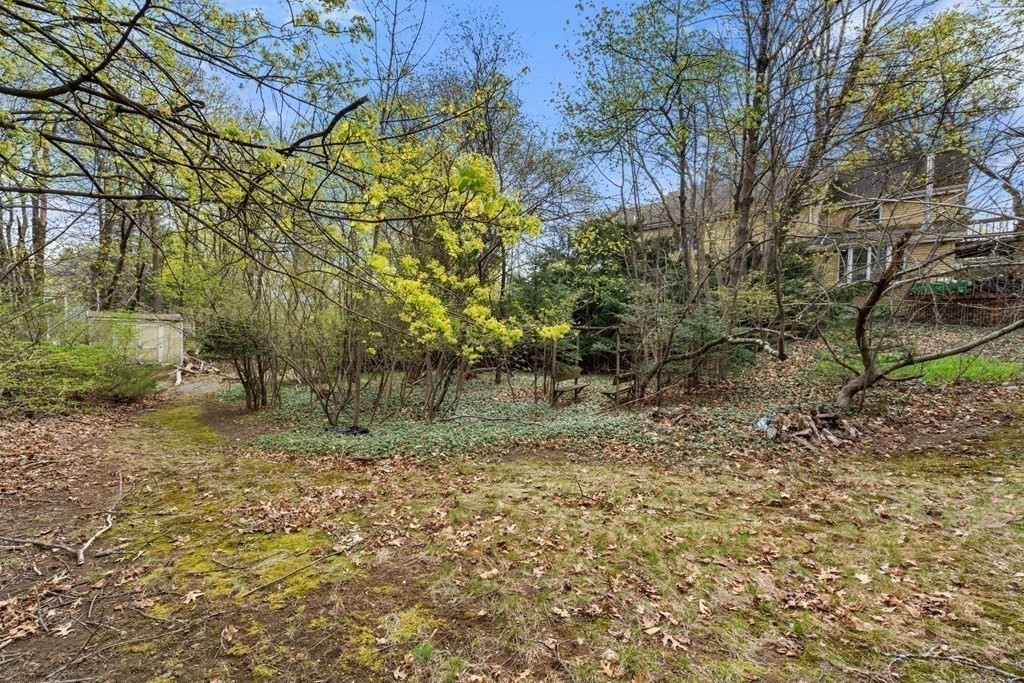 21 Columbus Street Lexington, MA 02421 - Photo 21 of 26 a backyard of a house with lots of green space