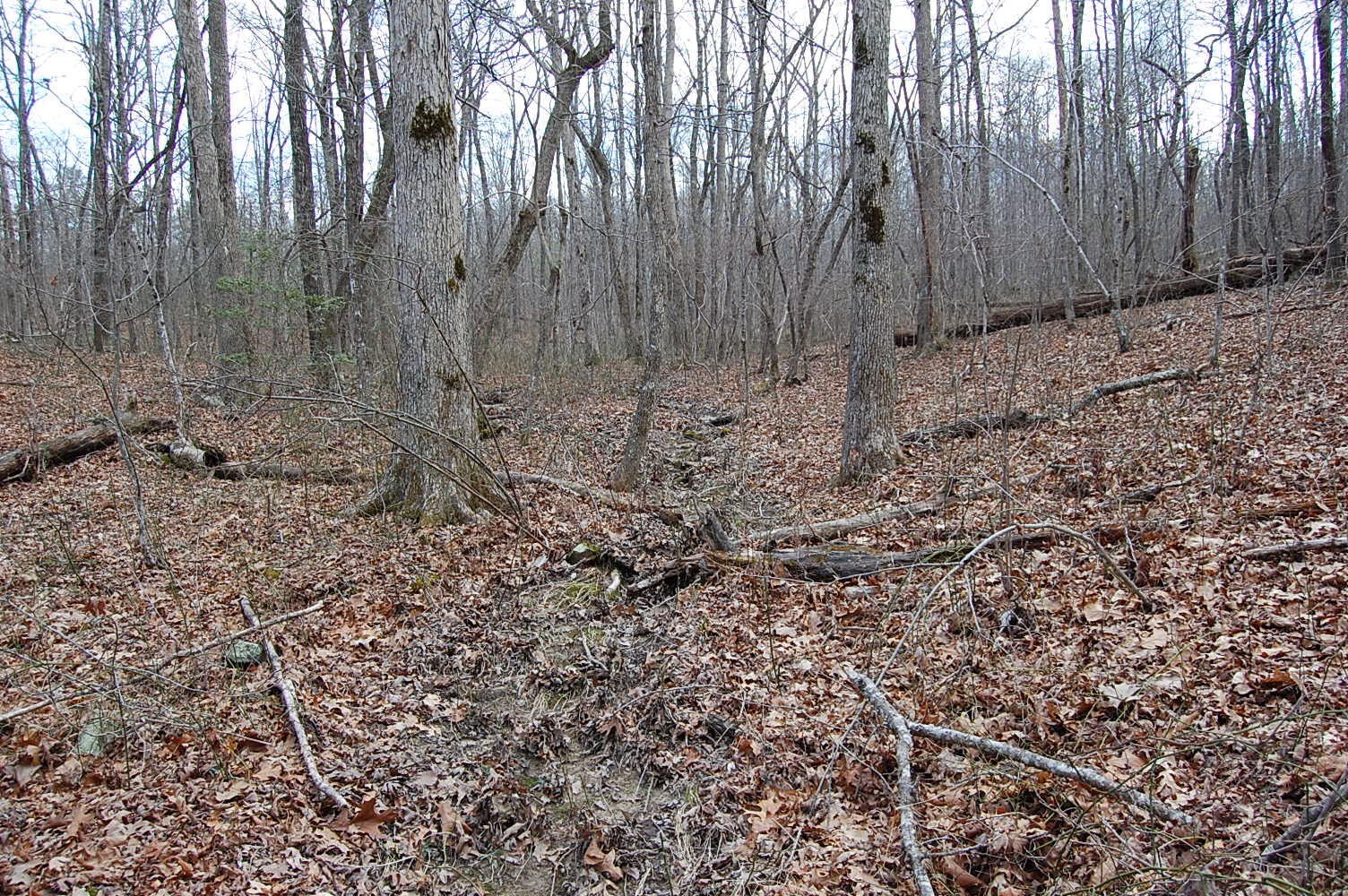 13 Green Forest Road Dunlap, TN 37327 - Photo 22 of 35 Gallery Image 22
