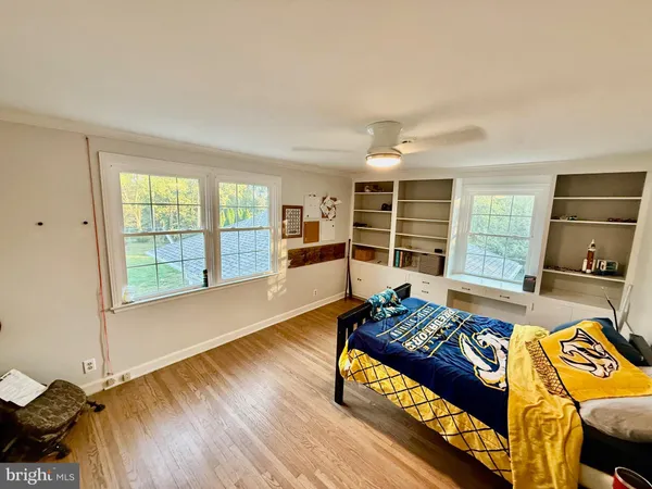 a view of a yard with plants and trees