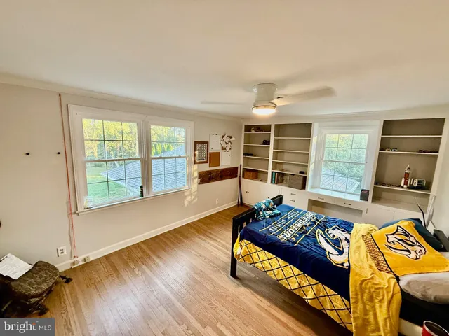 a view of a yard with plants and trees