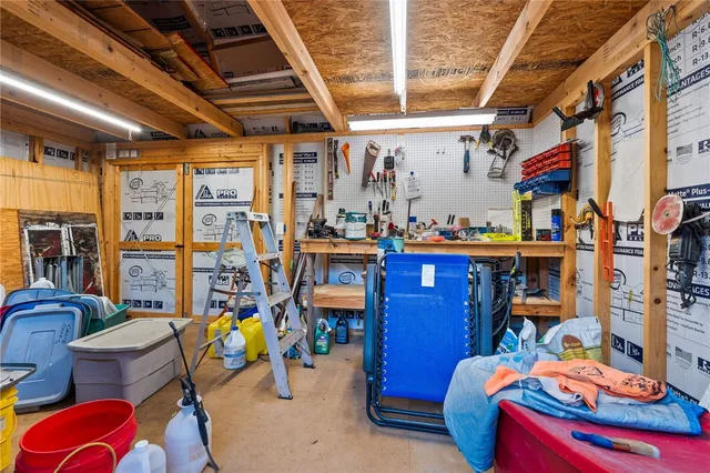 a view of a backyard with plants and a garden