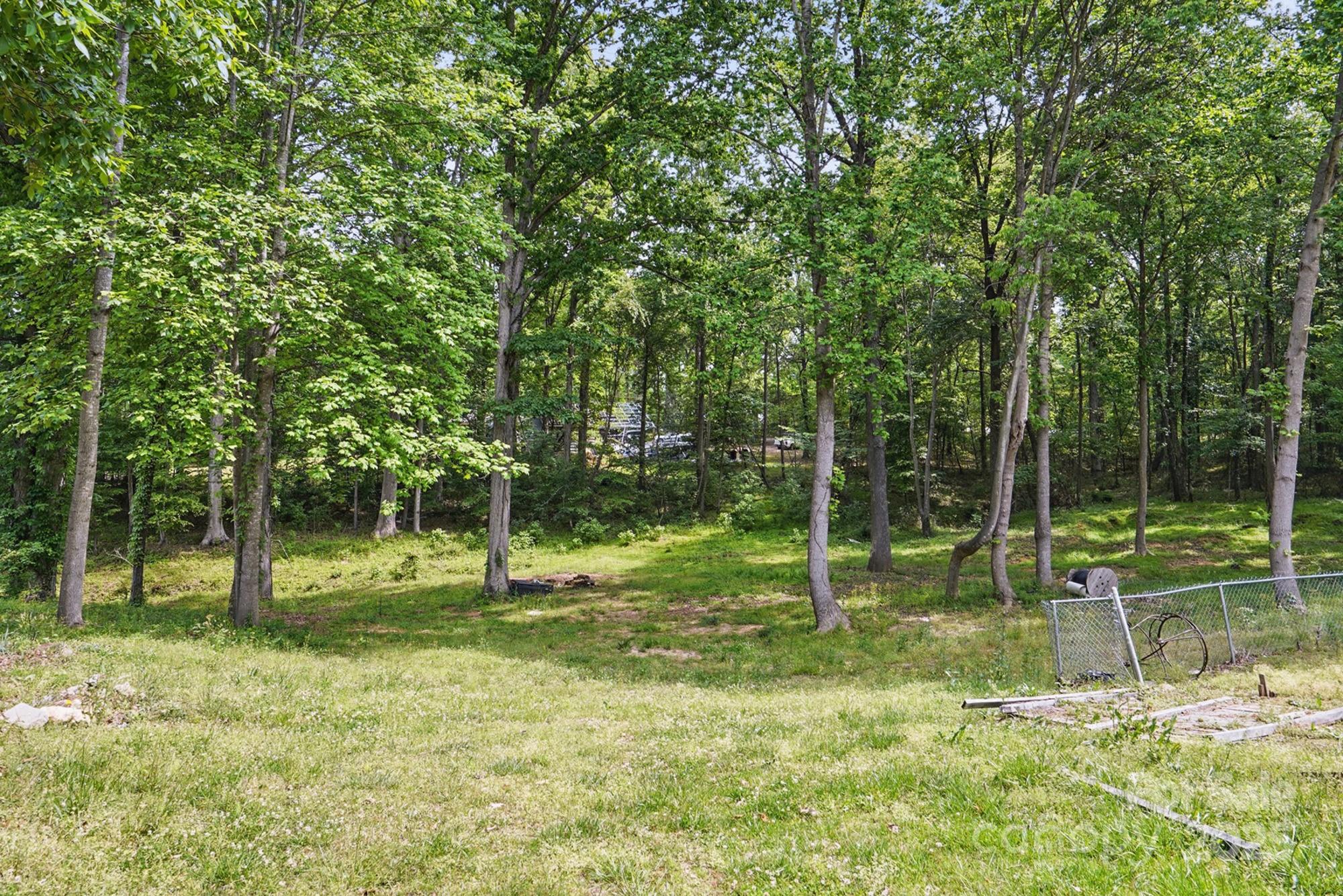 10420 Silver Mine Road Indian Land, SC 29707 - Photo 17 of 27