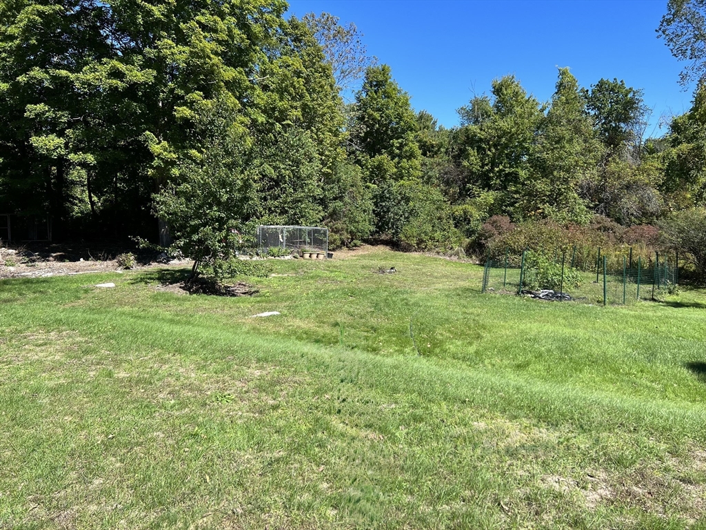 4 Thorndike Street Dunstable, MA 01827 - Photo 33 of 35 a view of grassy field with trees
