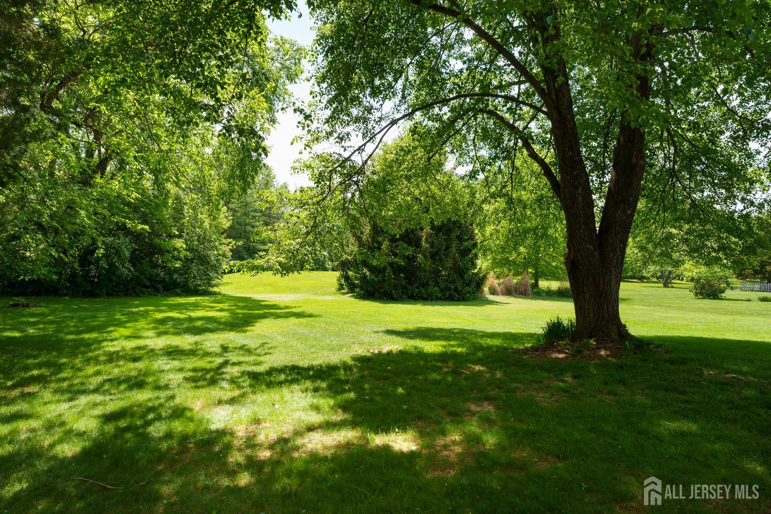 132 Fairfield Road Princeton, NJ 08540 - Photo 21 of 22 a view of a trees with a yard