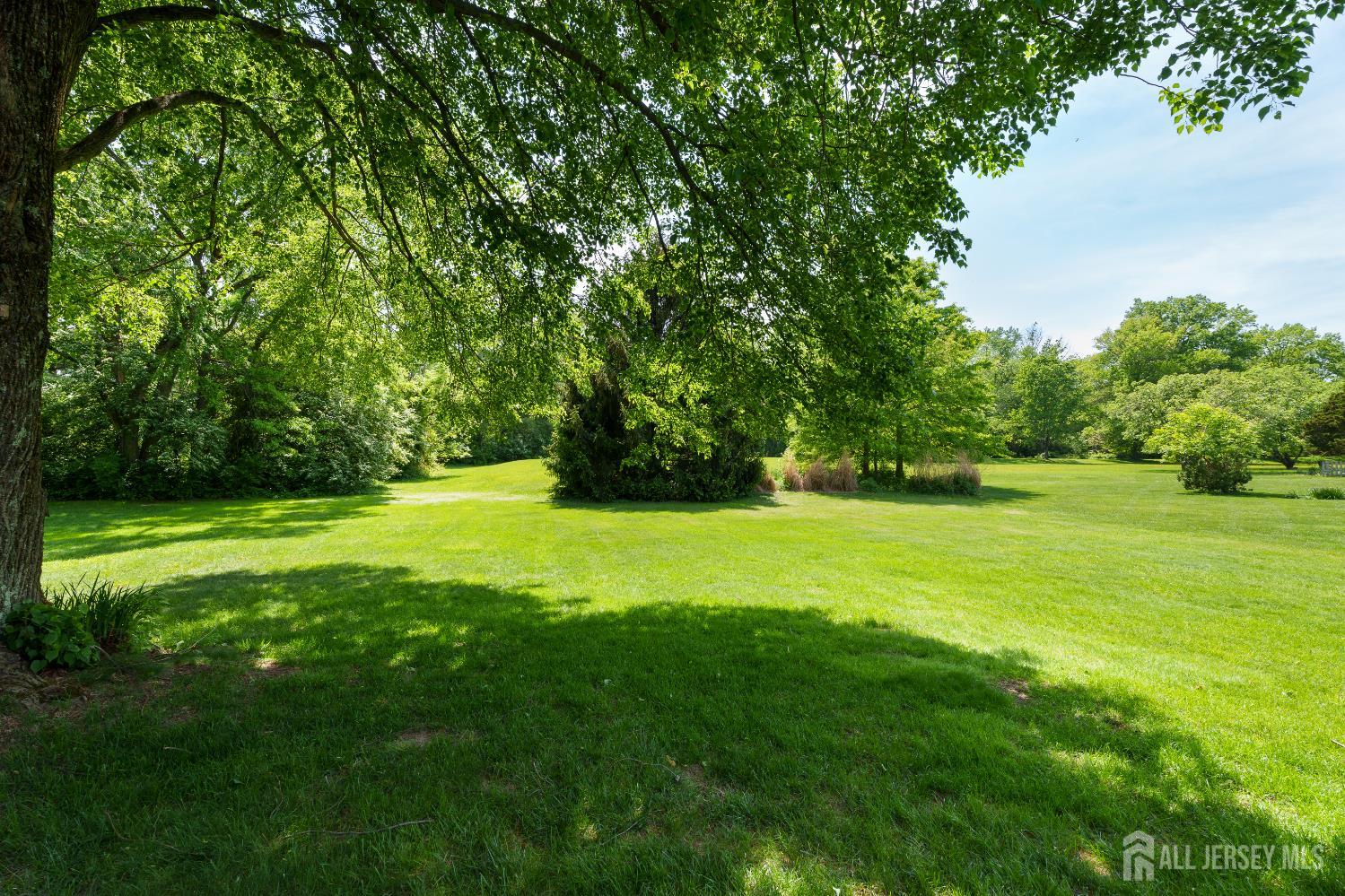 132 Fairfield Road Princeton, NJ 08540 - Photo 22 of 22 a view of green field with trees in the background