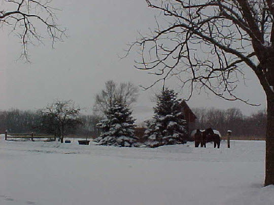 6943 West Daisy Road Leaf River, IL 61047 - Photo 4 of 8 Gallery Image 4