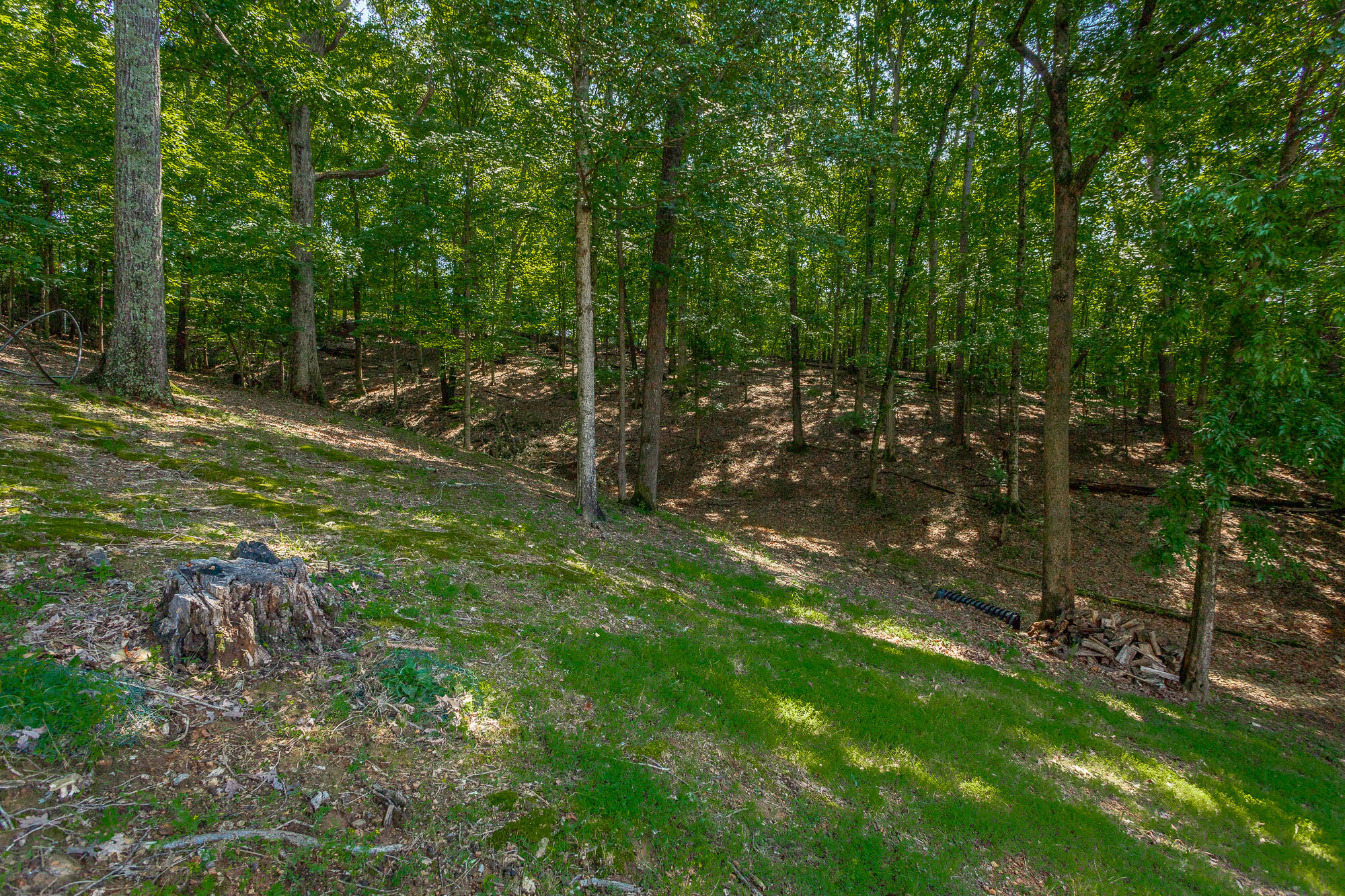 7608 Ridge Bay Drive Hixson, TN 37343 - Photo 49 of 64 7608 Ridge Bay Dr. HD-95