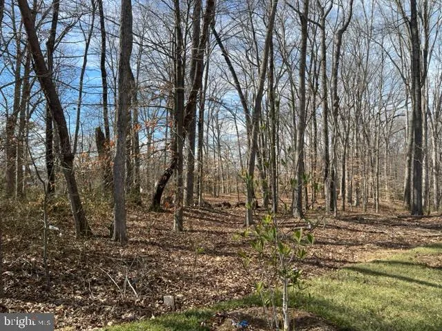 a view of outdoor space with wooden fence