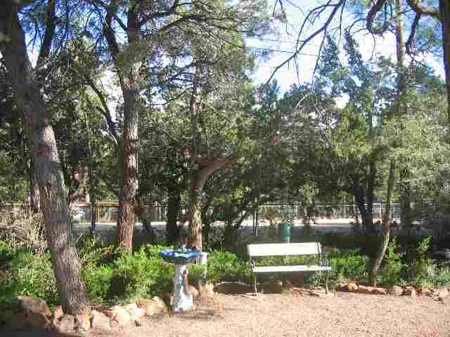2052 Shot Gun Road Overgaard, AZ 85933 - Photo 2 of 5 a front view of a house with a garden