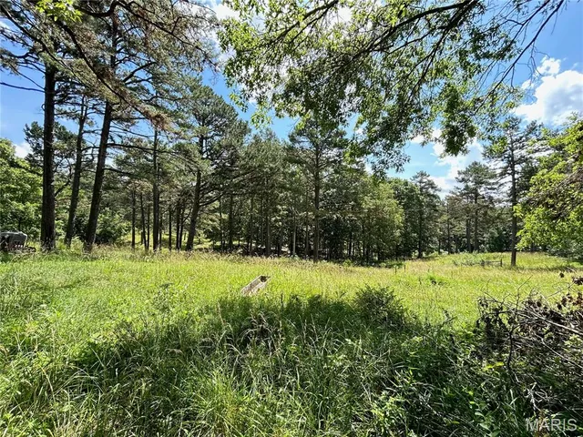 $445,000 | 474 Highway Zz Jadwin Mo 65501, Jadwin, MO 65501