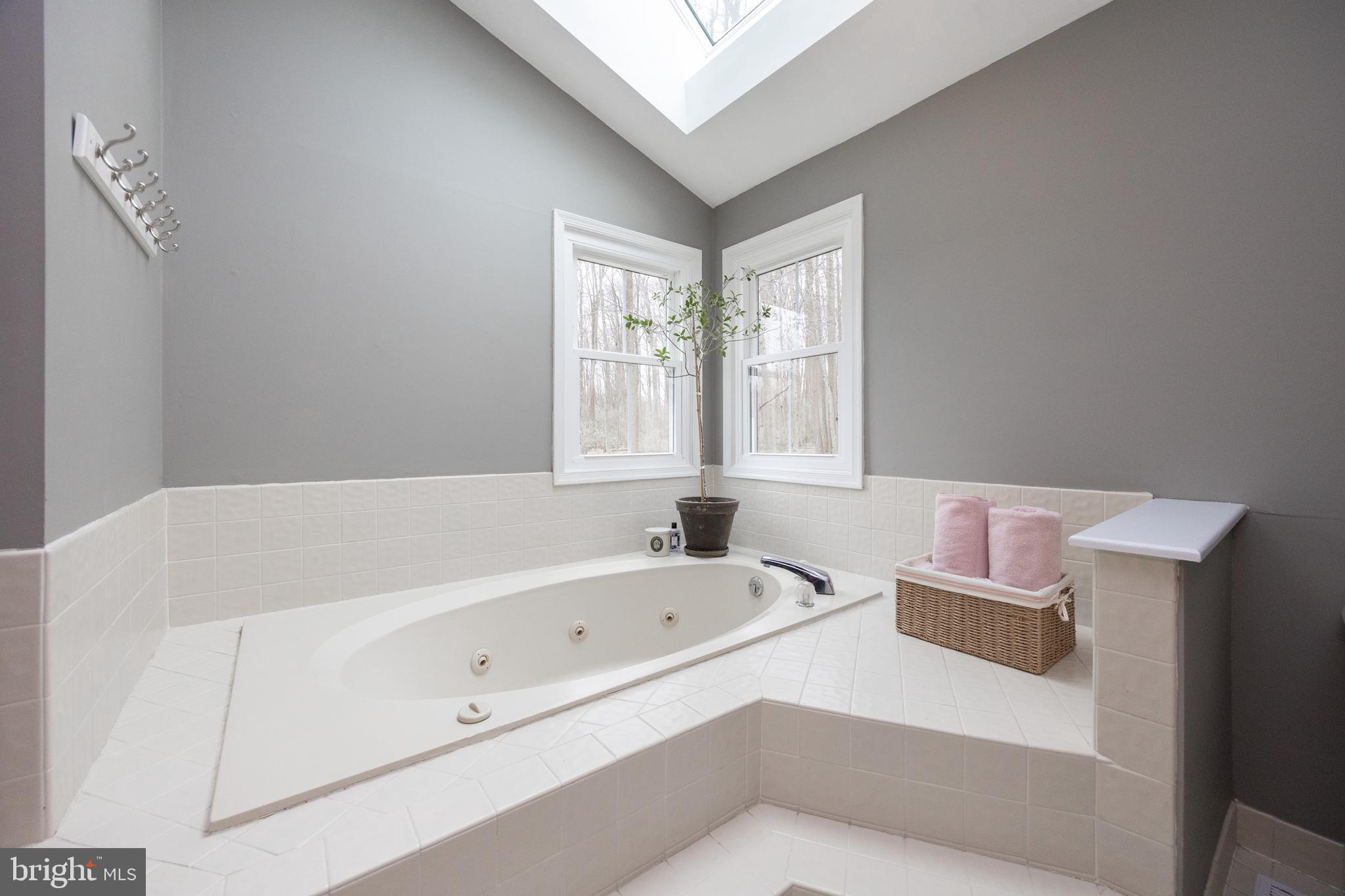 32 McLeod Pond Road Glenmoore, PA 19343 - Photo 40 of 61 Soaking Tub