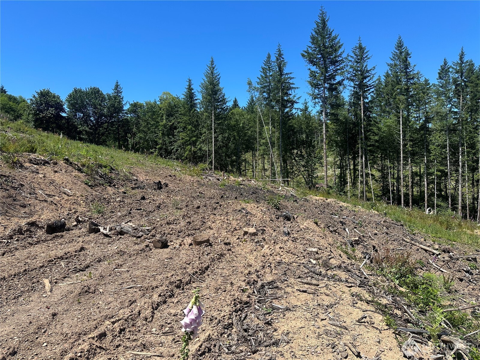 0 Kalama River Road Kalama, WA 98625 - Photo 12 of 14