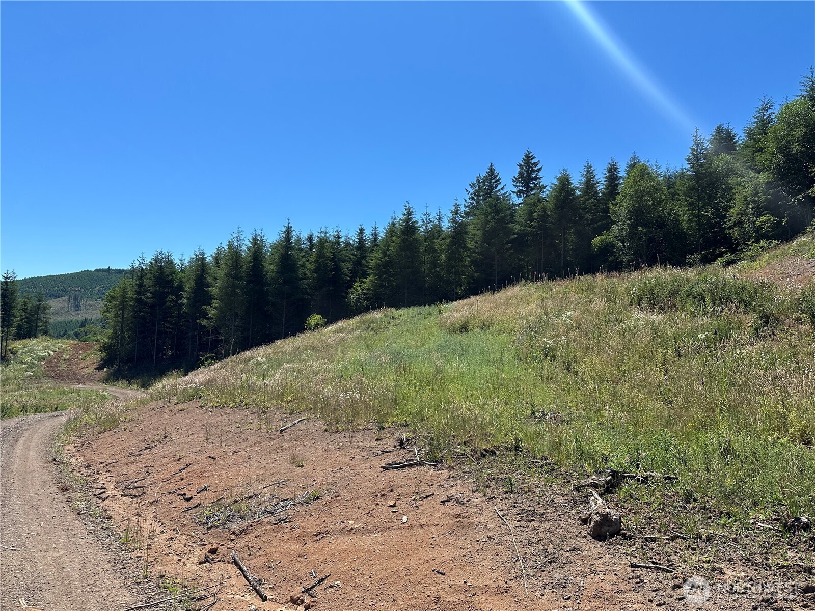 0 Kalama River Road Kalama, WA 98625 - Photo 13 of 14