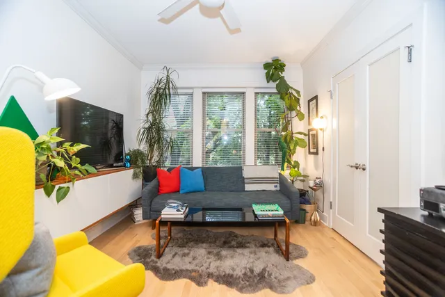 a living room with furniture and a potted plant