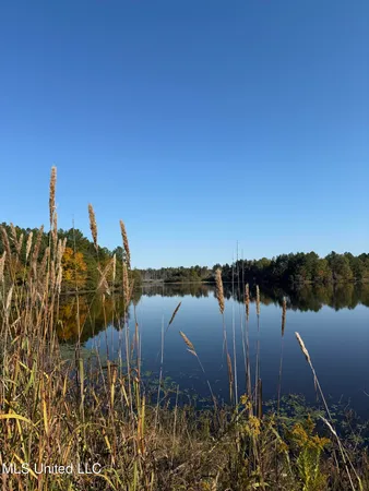 $3,900,798 | 315 Off Highway, Water Valley, MS 38965