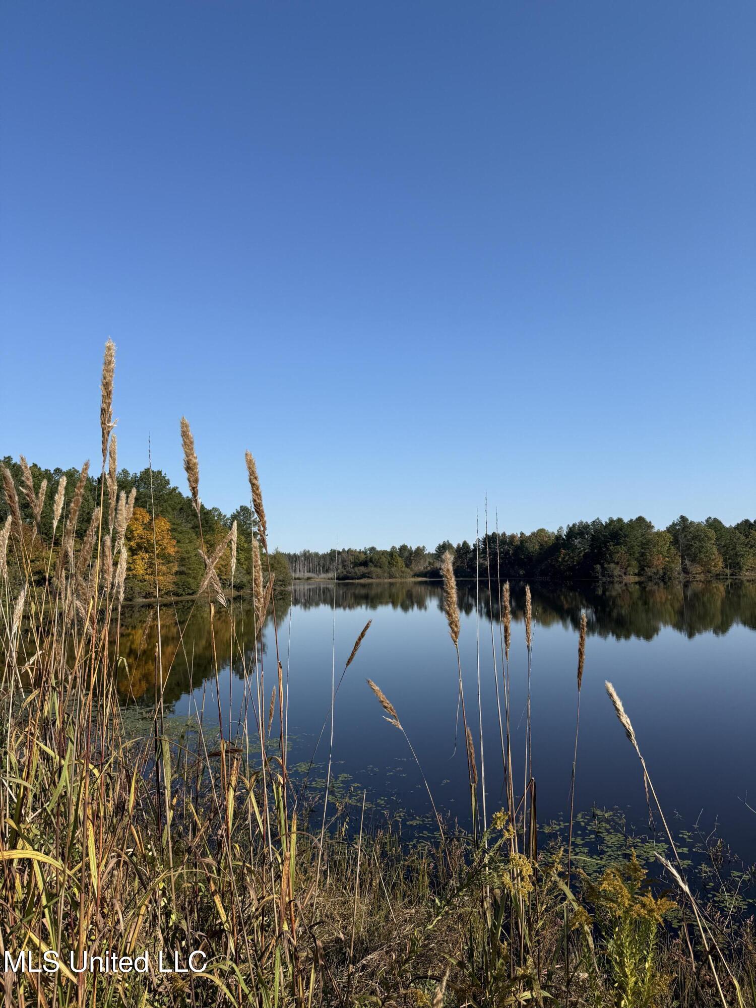 315 Off Highway Water Valley, MS 38965 - Photo 11 of 37 Photo Oct 23 2024, 9 56 38 AM AVOID 2807