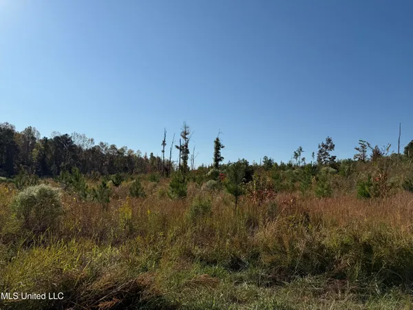 $3,900,798 | 315 Off Highway, Water Valley, MS 38965