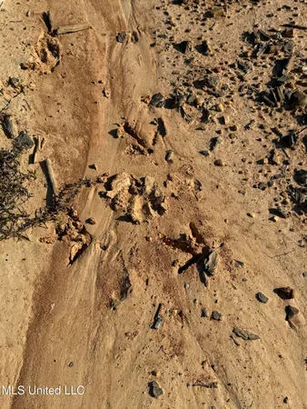 $3,900,798 | 315 Off Highway, Water Valley, MS 38965