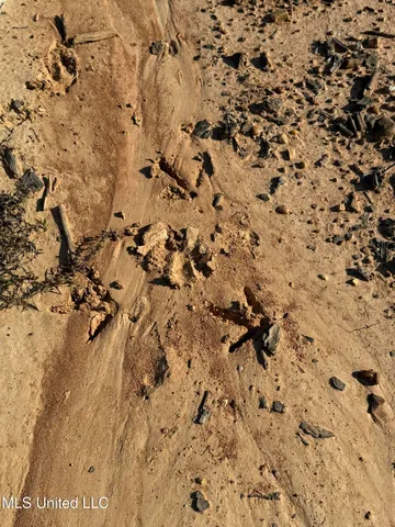 $4,028,693 | 315 Off Highway, Water Valley, MS 38965