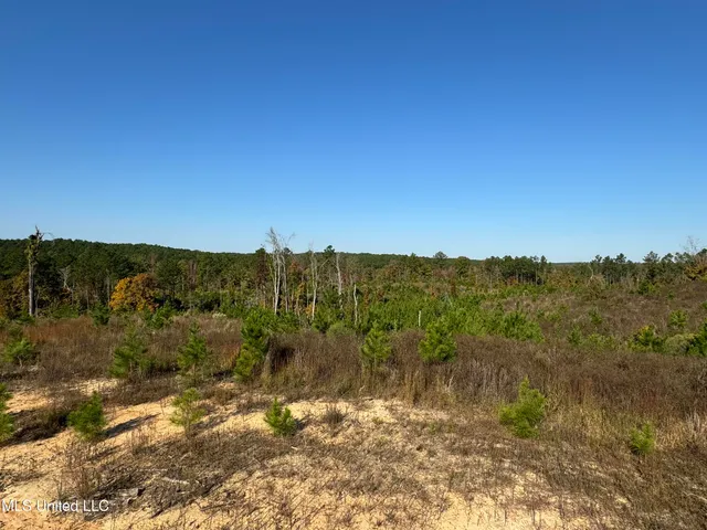 $4,028,693 | 315 Off Highway, Water Valley, MS 38965