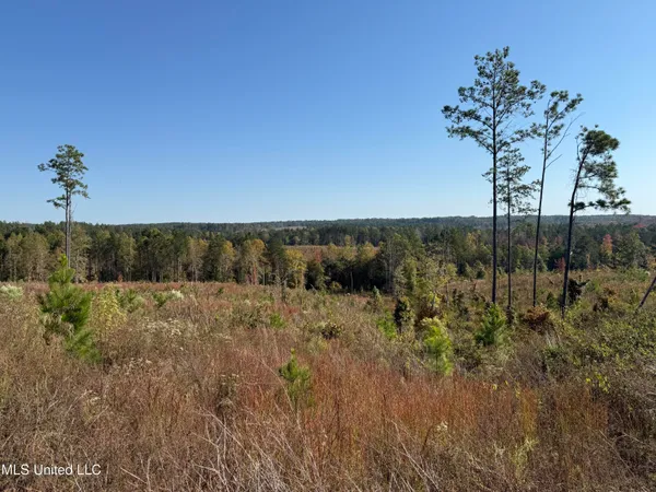 $3,900,798 | 315 Off Highway, Water Valley, MS 38965