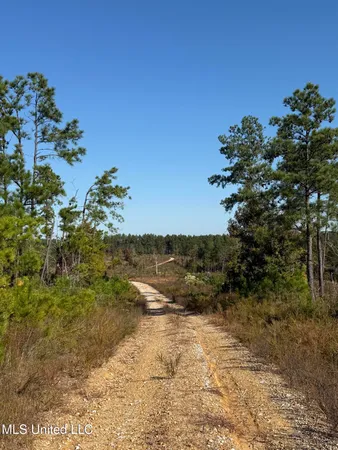 $3,900,798 | 315 Off Highway, Water Valley, MS 38965