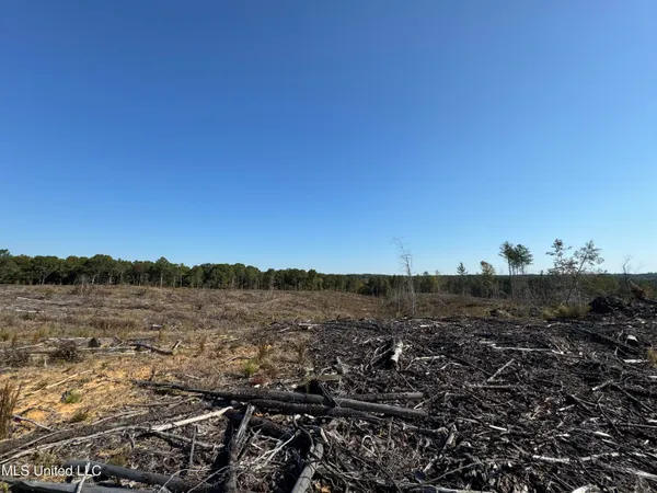 $3,900,798 | 315 Off Highway, Water Valley, MS 38965