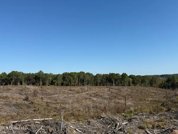 $3,900,798 | 315 Off Highway, Water Valley, MS 38965