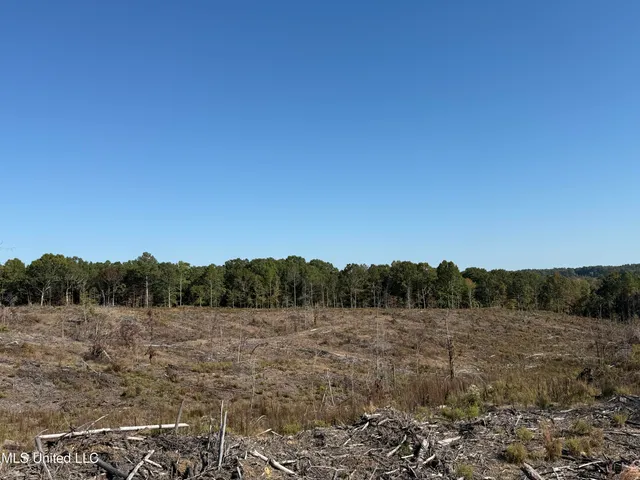 $4,028,693 | 315 Off Highway, Water Valley, MS 38965