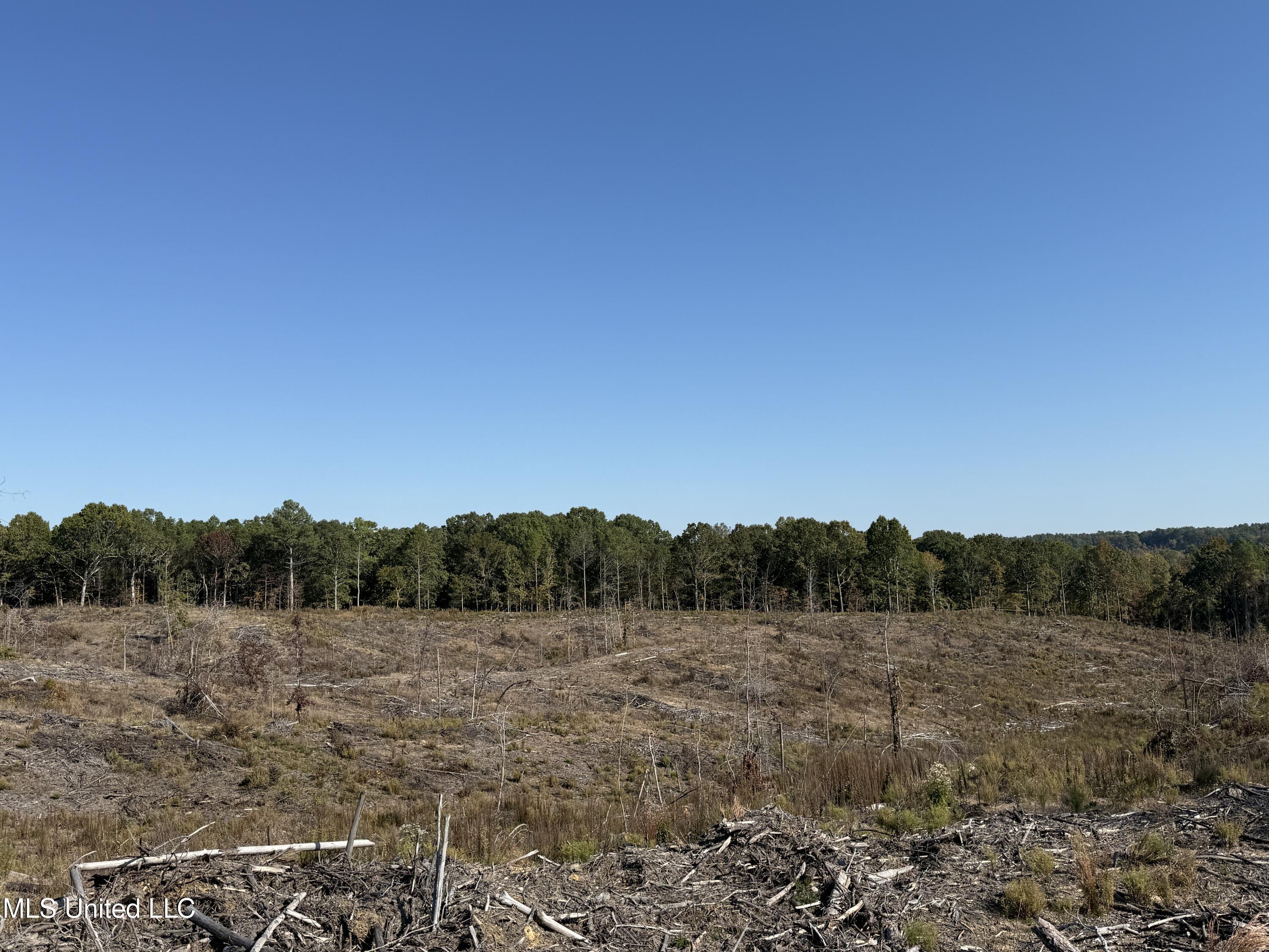 315 Off Highway Water Valley, MS 38965 - Photo 22 of 37 Photo Oct 23 2024, 10 31 02 AM AVOID 280