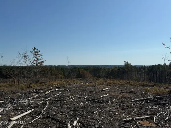 $3,900,798 | 315 Off Highway, Water Valley, MS 38965