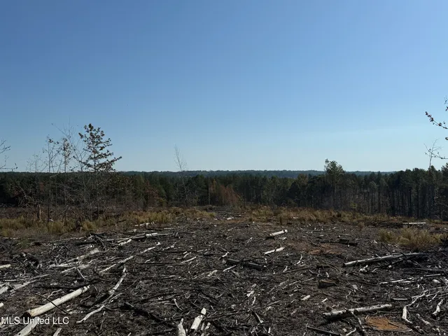 $4,028,693 | 315 Off Highway, Water Valley, MS 38965