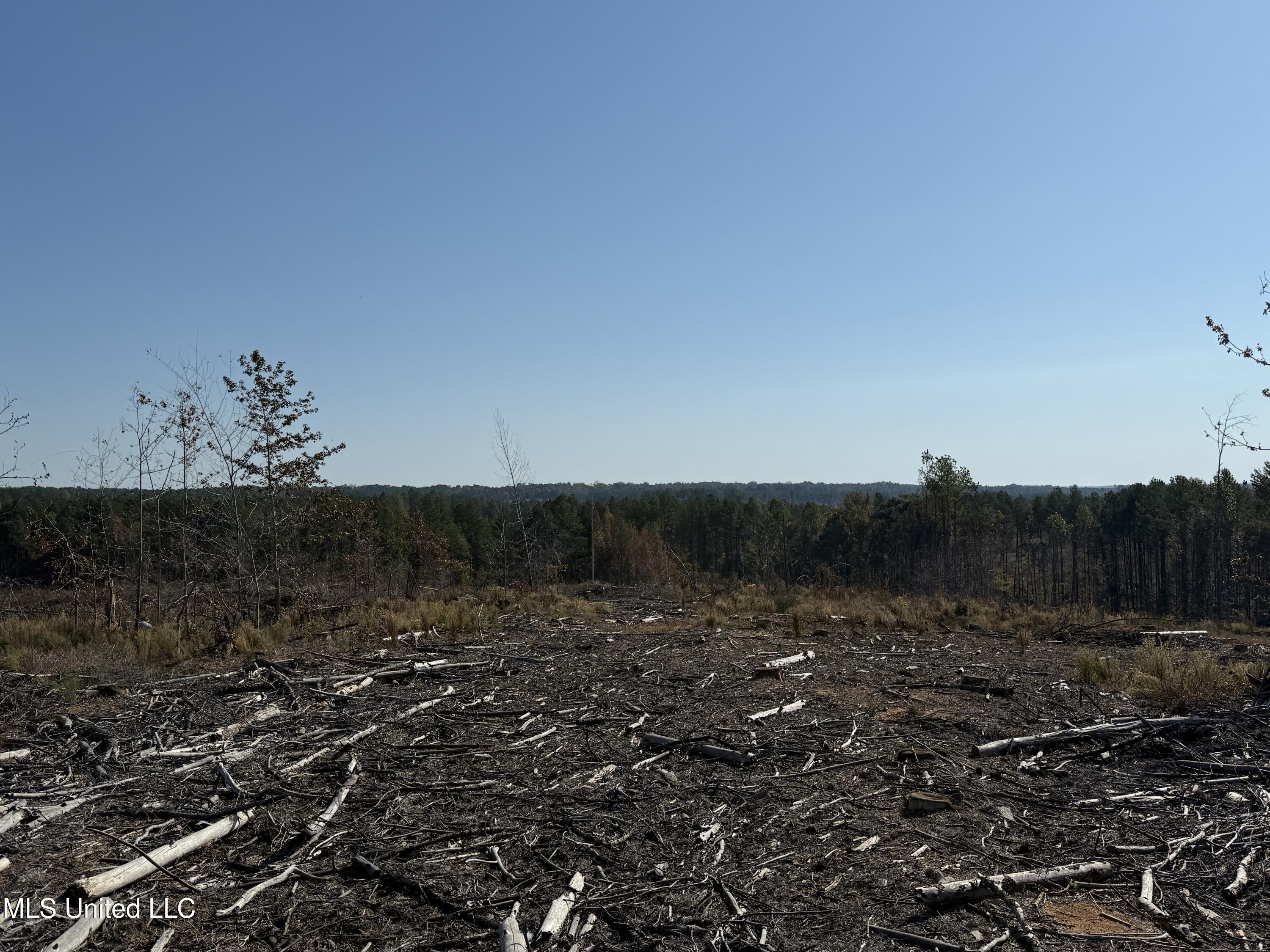 315 Off Highway Water Valley, MS 38965 - Photo 23 of 37 Photo Oct 23 2024, 10 31 35 AM AVOID 280