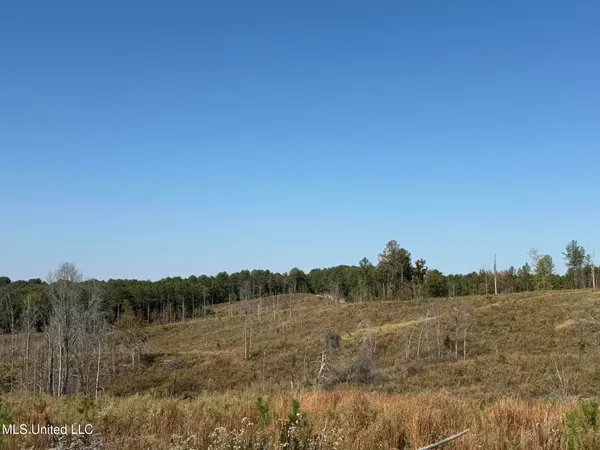 $3,900,798 | 315 Off Highway, Water Valley, MS 38965