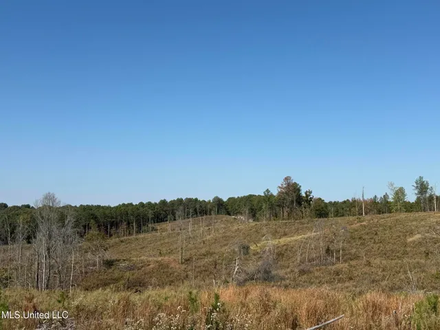 $4,028,693 | 315 Off Highway, Water Valley, MS 38965