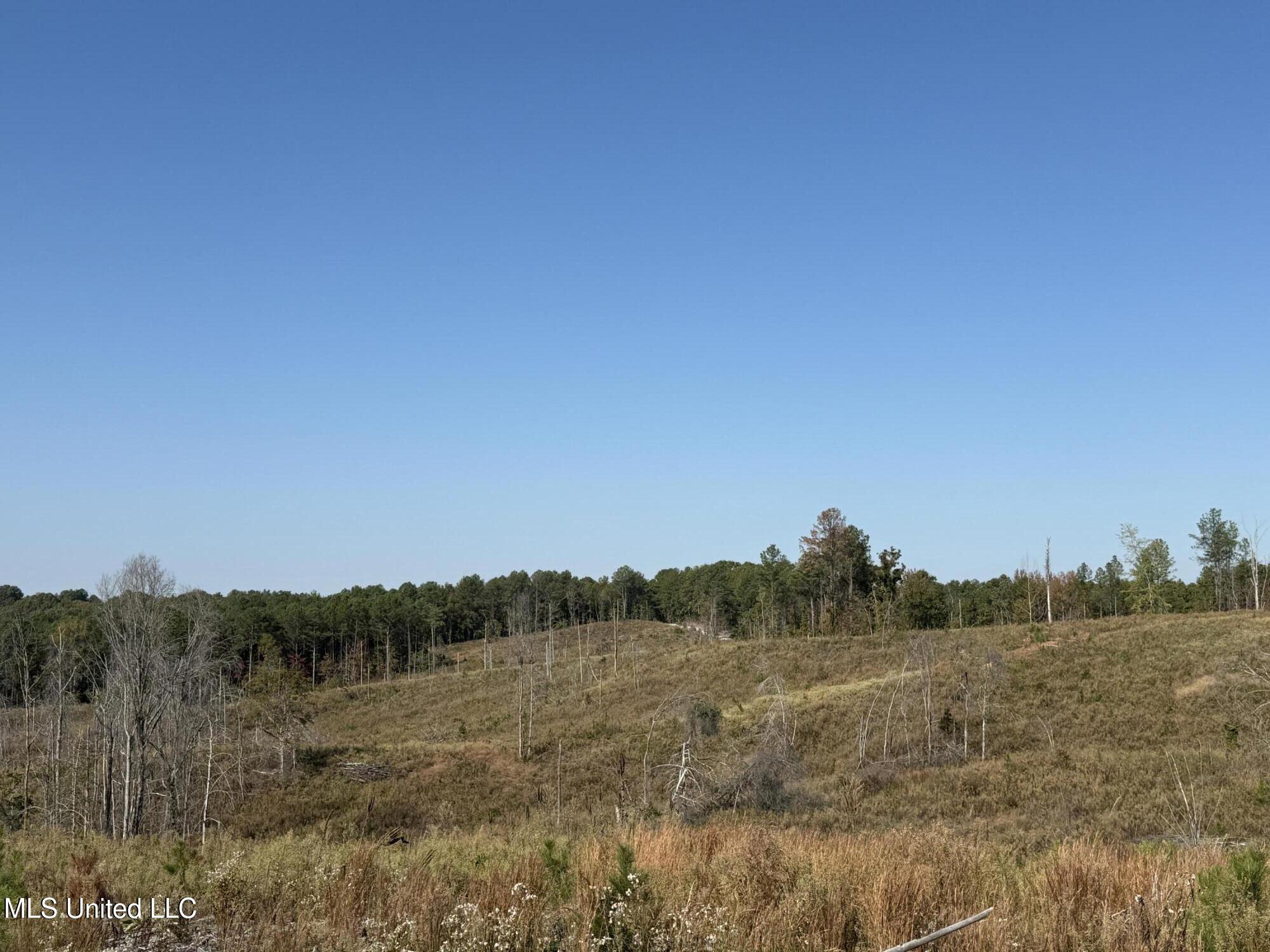 315 Off Highway Water Valley, MS 38965 - Photo 25 of 37 Photo Oct 23 2024, 10 36 39 AM AVOID 280