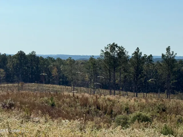 $4,028,693 | 315 Off Highway, Water Valley, MS 38965