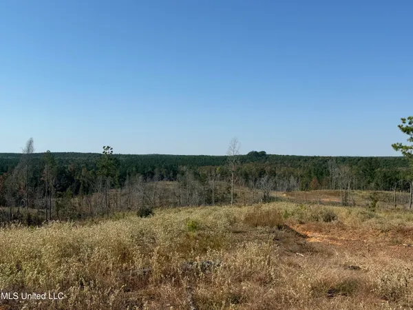 $3,900,798 | 315 Off Highway, Water Valley, MS 38965
