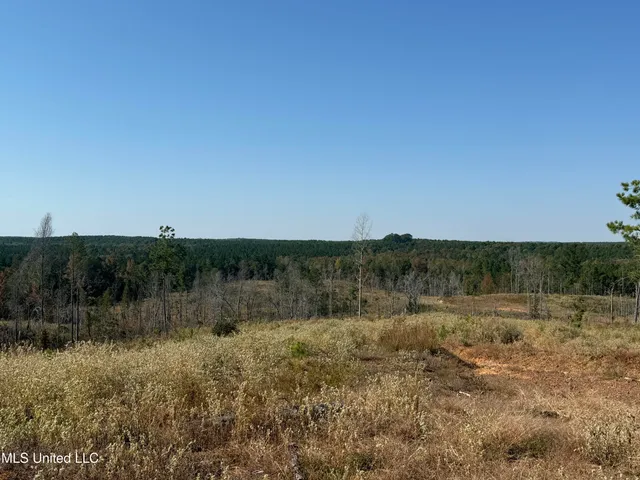 $4,028,693 | 315 Off Highway, Water Valley, MS 38965