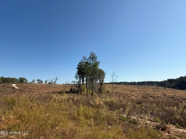 $3,900,798 | 315 Off Highway, Water Valley, MS 38965