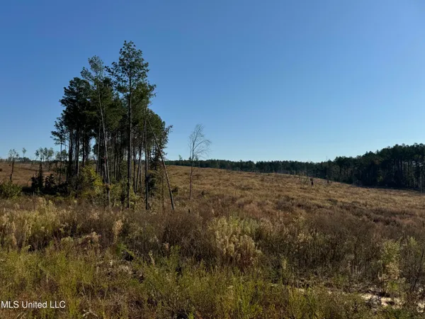 $3,900,798 | 315 Off Highway, Water Valley, MS 38965