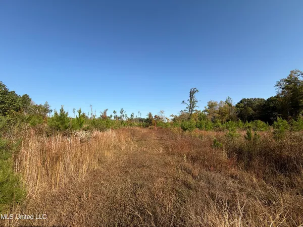 $3,900,798 | 315 Off Highway, Water Valley, MS 38965