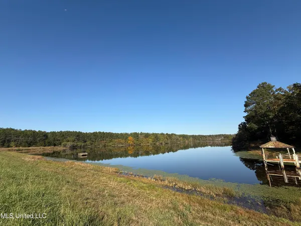$3,900,798 | 315 Off Highway, Water Valley, MS 38965