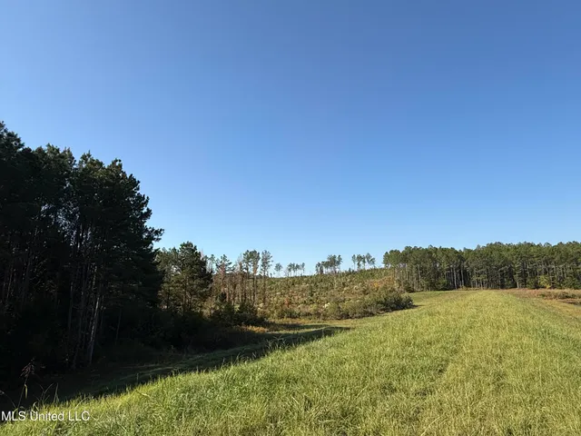 $4,028,693 | 315 Off Highway, Water Valley, MS 38965