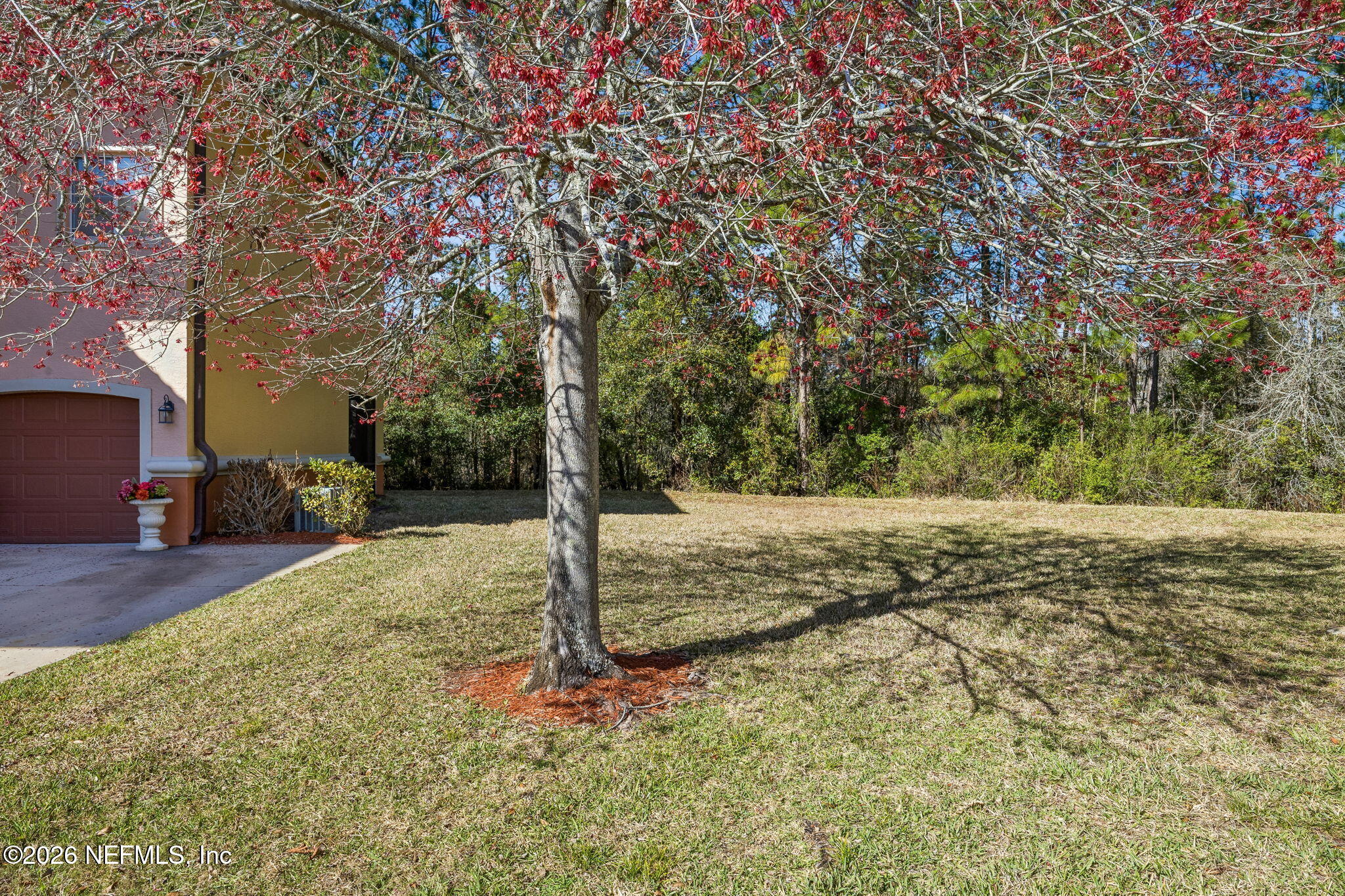 9745 Touchton Road, Unit 2125 Jacksonville, FL 32246 - Photo 35 of 50 a view of a tree in the middle of a yard