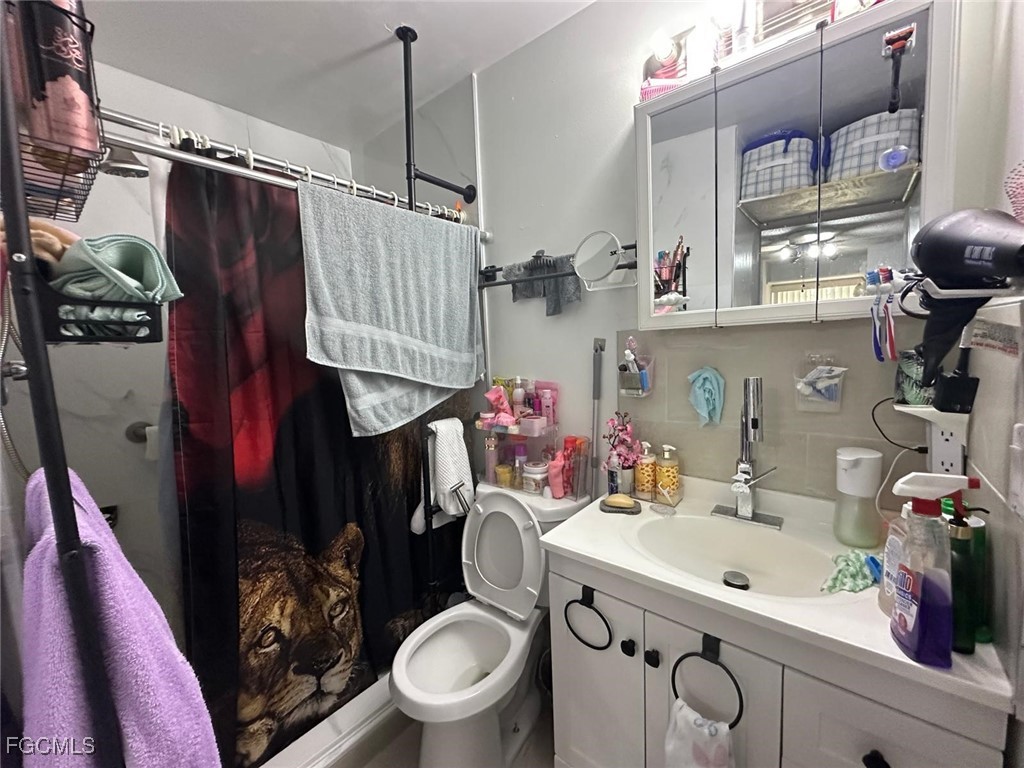 19 Pinewood Boulevard Lehigh Acres, FL 33936 - Photo 14 of 25 a bathroom with a sink a toilet and shower curtain