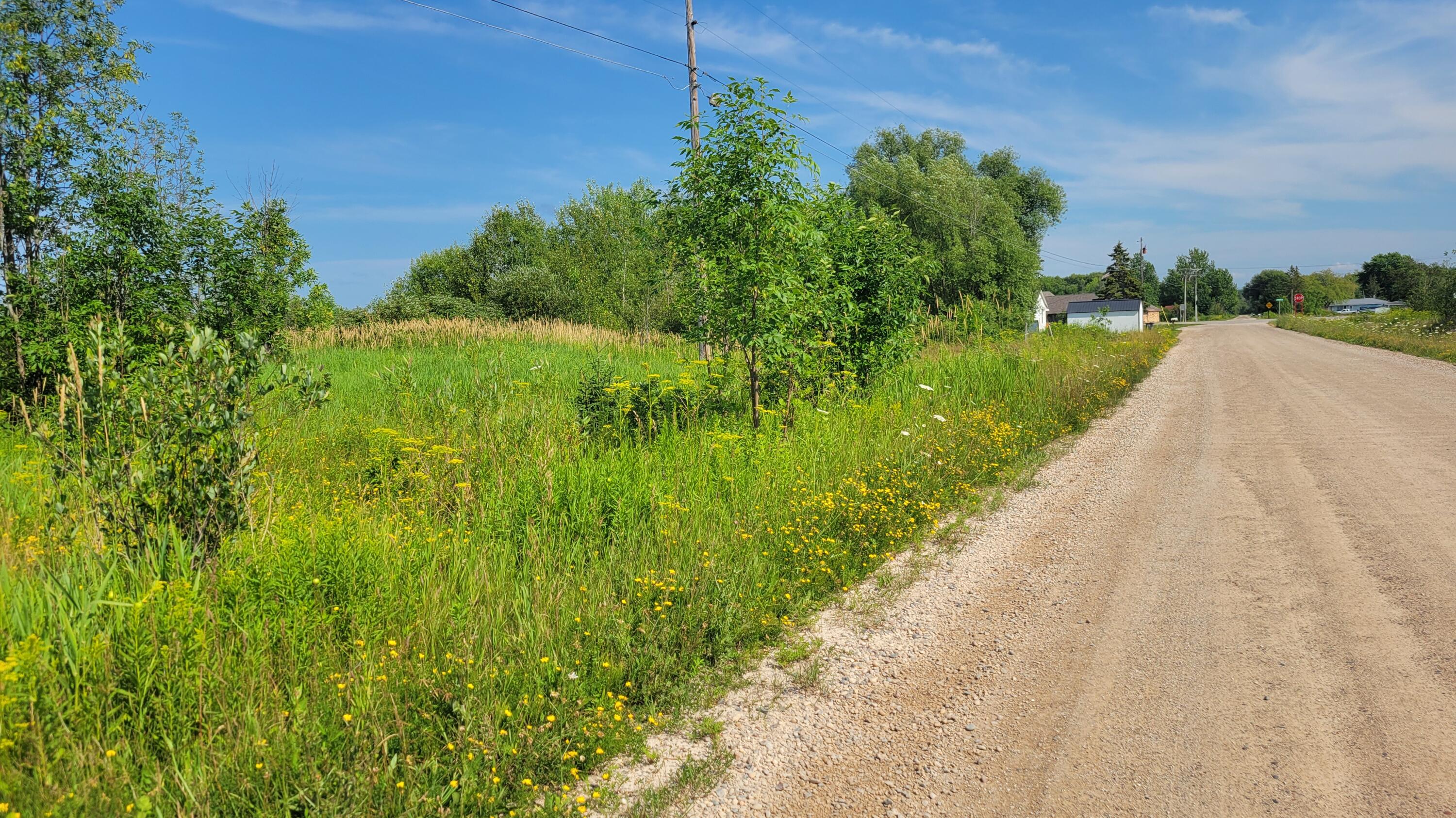 Abrahamson Road Cheboygan, MI 49721 - Photo 3 of 4 Gallery Image 3