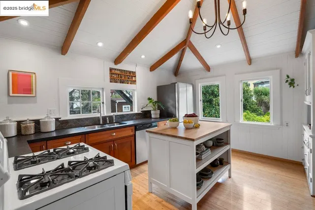 a picture of a potted plant sitting on a floor