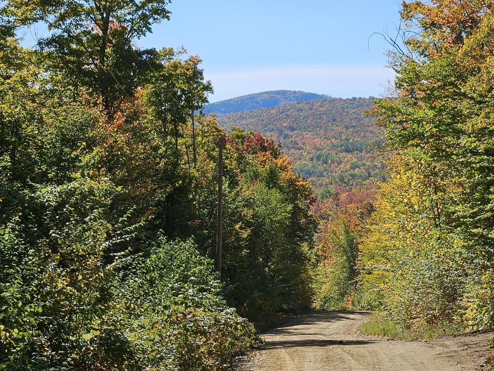 Lot 9 East Moose Alley Road Temple, ME 04984 - Photo 9 of 46