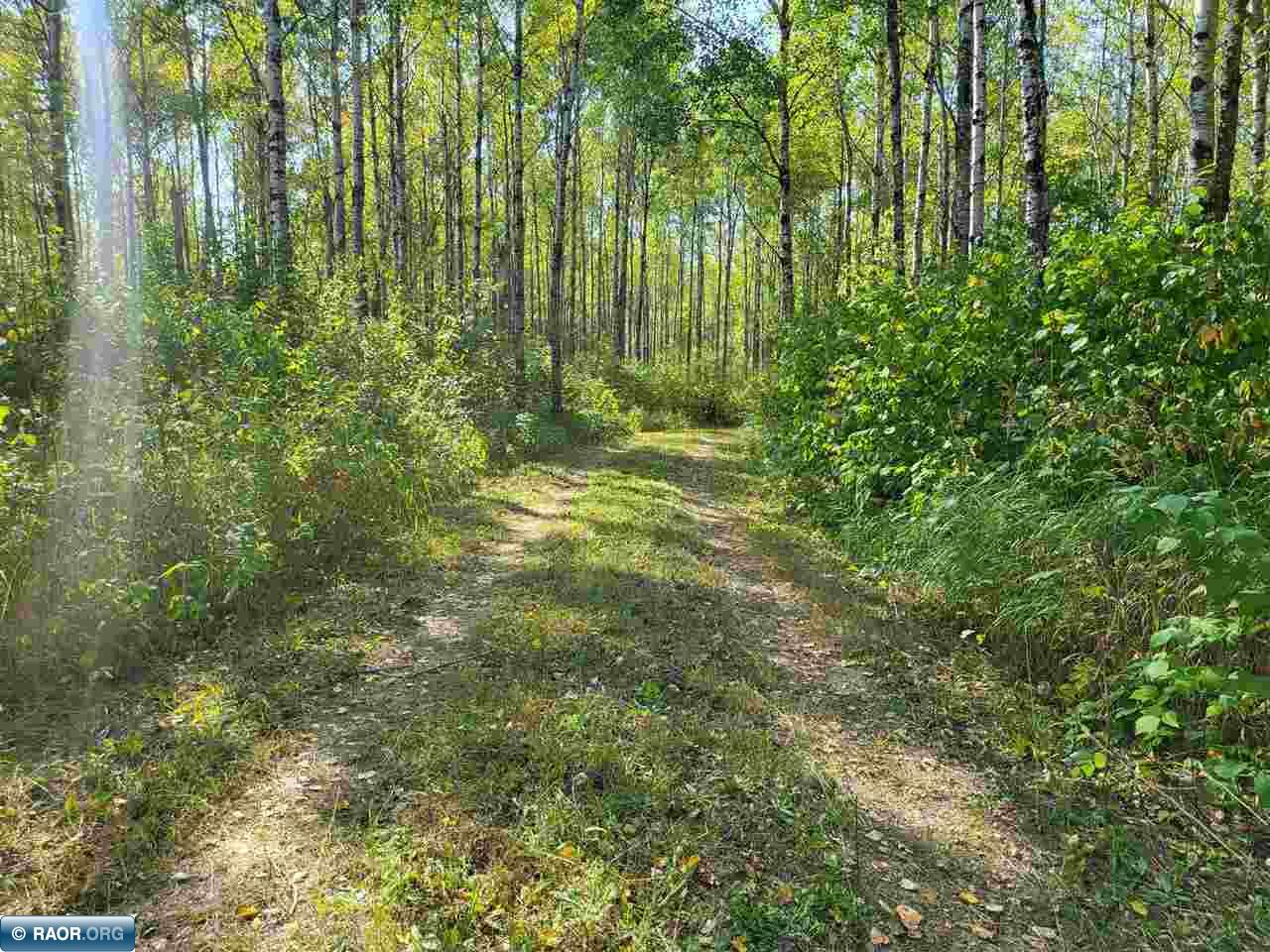 6575 Etelainen Road Brimson, MN 55602 - Photo 10 of 21 Gallery Image 10